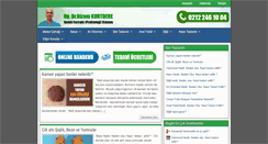 Desktop Screenshot of nizamkurtdere.com